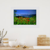 Poster Haut Fleurs sauvages de la Sierra Nevada (Cuisine)