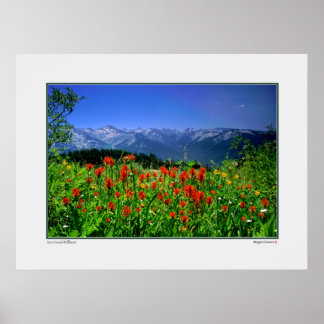 Poster Haut Fleurs sauvages de la Sierra Nevada