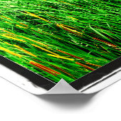 Poster Haute herbe avec des cattons dans le parc (Coin)