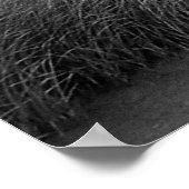 Poster Haute N sèche (Coin)