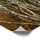 Poster Hauteur du terrain (Coin)