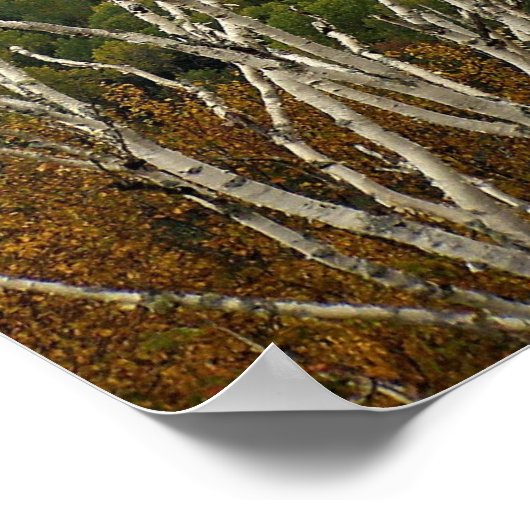 Poster Hauteur du terrain (Coin)