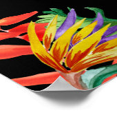 Poster Havana Nights, Havana Nights Party, Tropical (Coin)