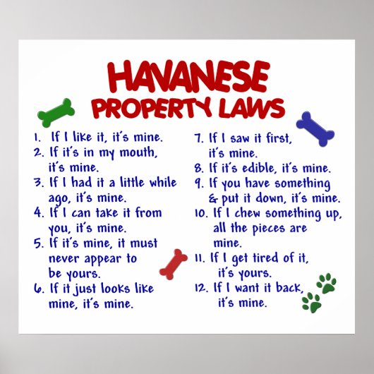 POSTER HAVANESE PL2 (Devant)