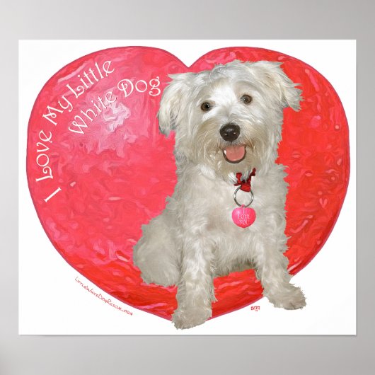 Poster Havanese / Westie mélange Saint-Valentin (Devant)