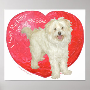 Poster Havanese / Westie Mix Saint-Valentin