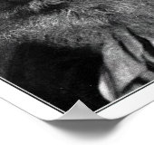 Poster Havelock Ellis (Coin)