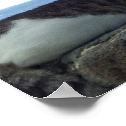 Poster Hawaii (Coin)