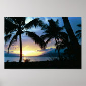Poster Hawaii (Devant)