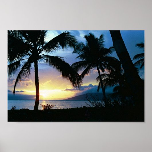 Poster Hawaii (Devant)