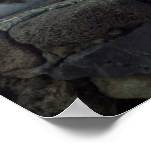 Poster Hawaii (Coin)