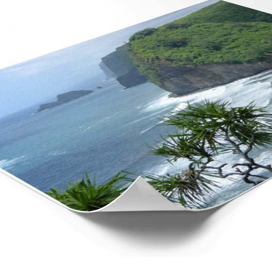 Poster Hawaii (Coin)