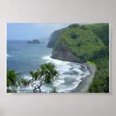 Poster Hawaii (Devant)