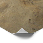 Poster Hawaii Aloha (Coin)