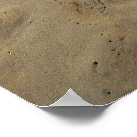 Poster Hawaii Aloha (Coin)