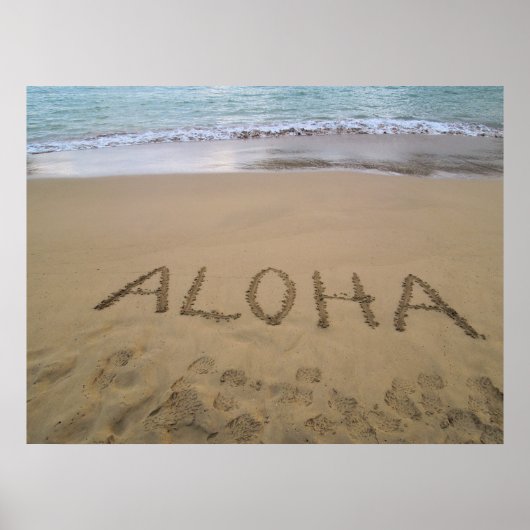 Poster Hawaii Aloha (Devant)