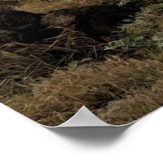 Poster Hawaii - Aventure À Green Sand Beach (Coin)