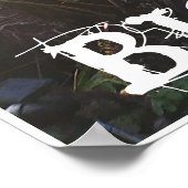 POSTER HAWAII, GRANDE ÎLE DE HAPU'U SLEVER (Coin)