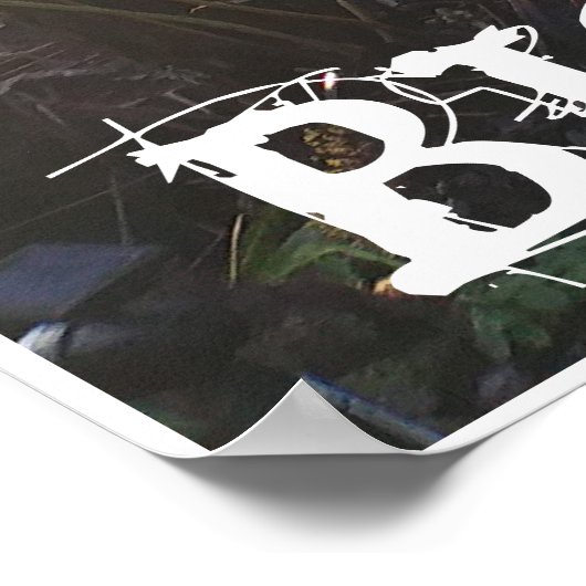 POSTER HAWAII, GRANDE ÎLE DE HAPU'U SLEVER (Coin)