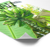 POSTER HAWAII NATURE (Coin)