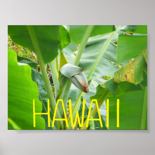 POSTER HAWAII NATURE (Devant)