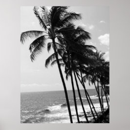 Poster Hawaii Palm Trees