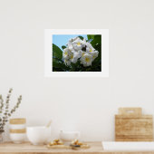 Poster Hawaii Plumeria (Cuisine)