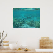 Poster Hawaii poisson tropical sous l'eau toile pittoresq (Cuisine)