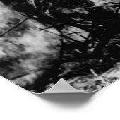 Poster Hawaii - Vue du champ de canne à sucre sur le feu (Coin)