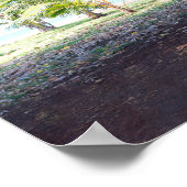 Poster Hawaiian Banyan Tree (Hoek)