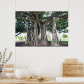 Poster Hawaiian Banyan Tree (Keuken)