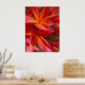 Poster Hawaiian Frangipani (Cuisine)