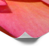 Poster Hawaiian Frangipani (Coin)