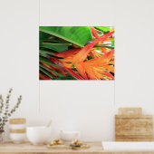 Poster Hawaiian Heliconia Flowers (Keuken)