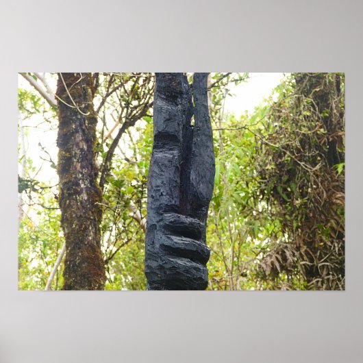 POSTER HAWAIIAN TIKIS (Devant)