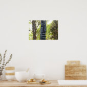 POSTER HAWAIIAN TIKIS (Cuisine)