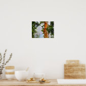 Poster Hawaiian Trees (Keuken)