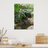 Poster Hawaiian Tropical Stream (Cuisine)