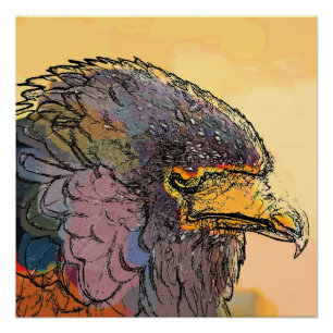 POSTER HAWK