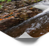 Poster Hawk Falls à l'automne 24"x18" (Coin)