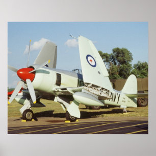Poster Hawker Sea Fury à CAF, Minnesota Wing, à la