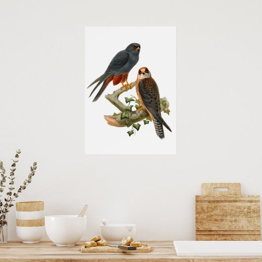 Poster Hawks vintages (Cuisine)