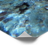 Poster Hawksbill Mélange En (Coin)