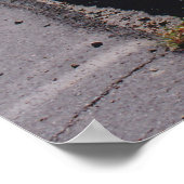 Poster Hawksnest (Coin)