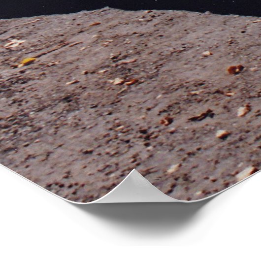 Poster Hawksnest (Coin)