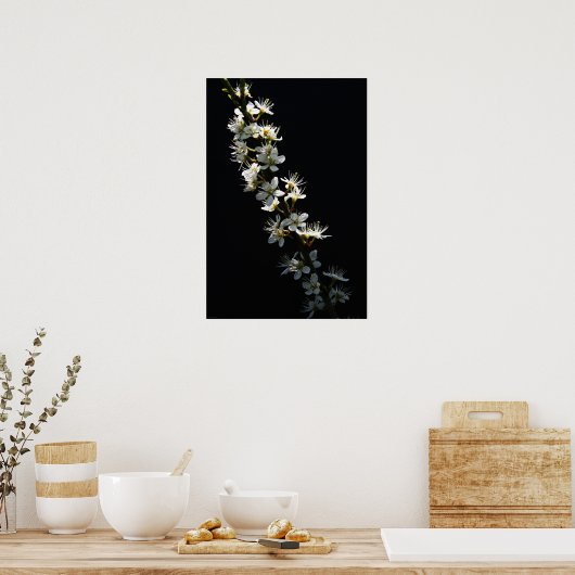 Poster Hawthorn Flowers wapcn (Cuisine)