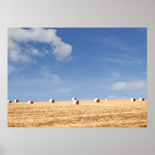 Poster Hay Bales on Field