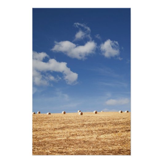 Poster Hay Bales on Field (Devant)