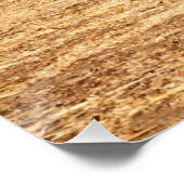 Poster Hay Bales on Field (Coin)