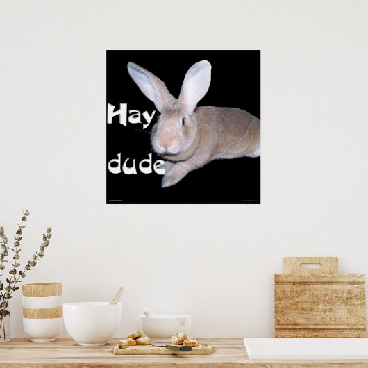 Poster Hay Dude (Cuisine)
